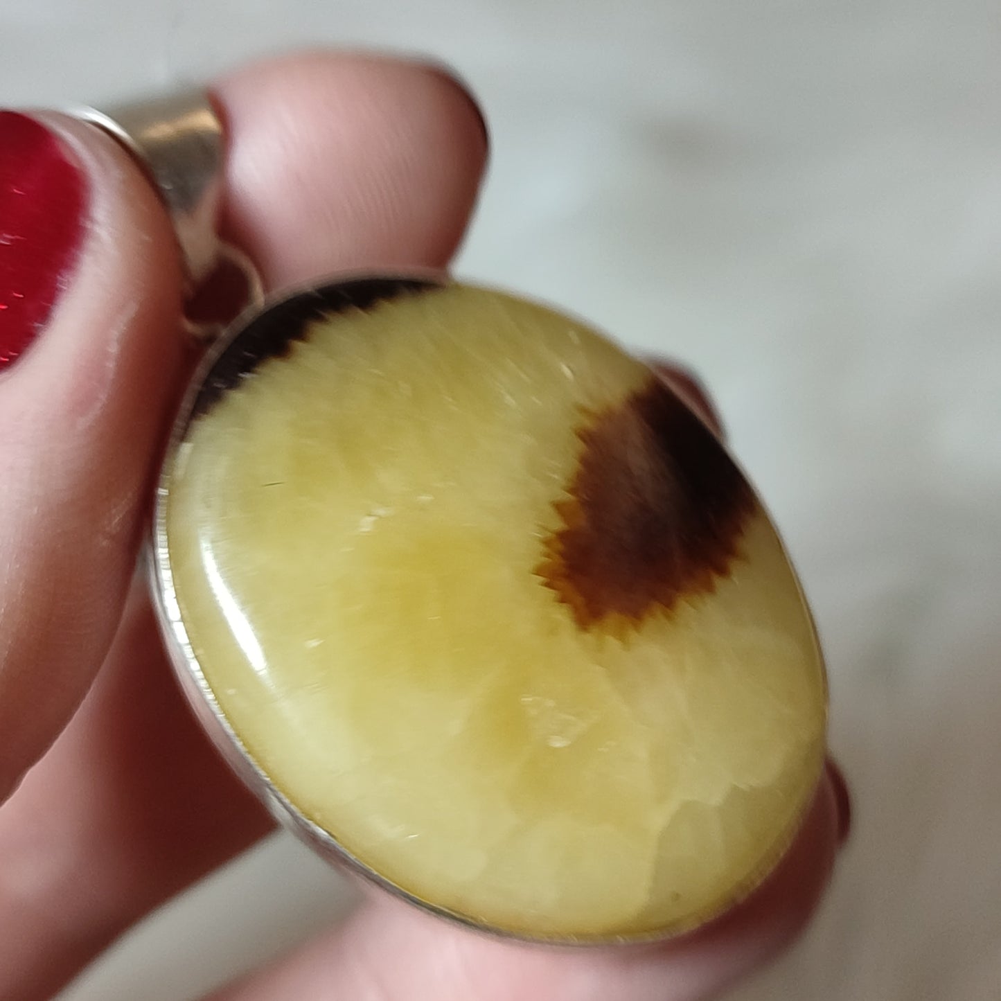 Colgante baño de plata con septaria