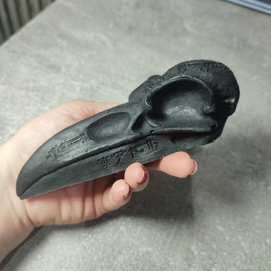 Calavera cuervo de Shungit 🌒🌕🌘