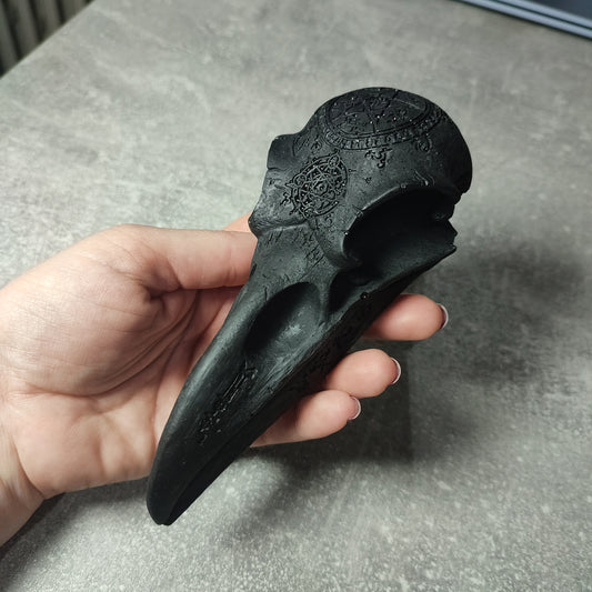 Calavera cuervo de Shungit 🌒🌕🌘