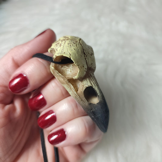 Alchemy Gothic ✨ Colgante calavera cuervo