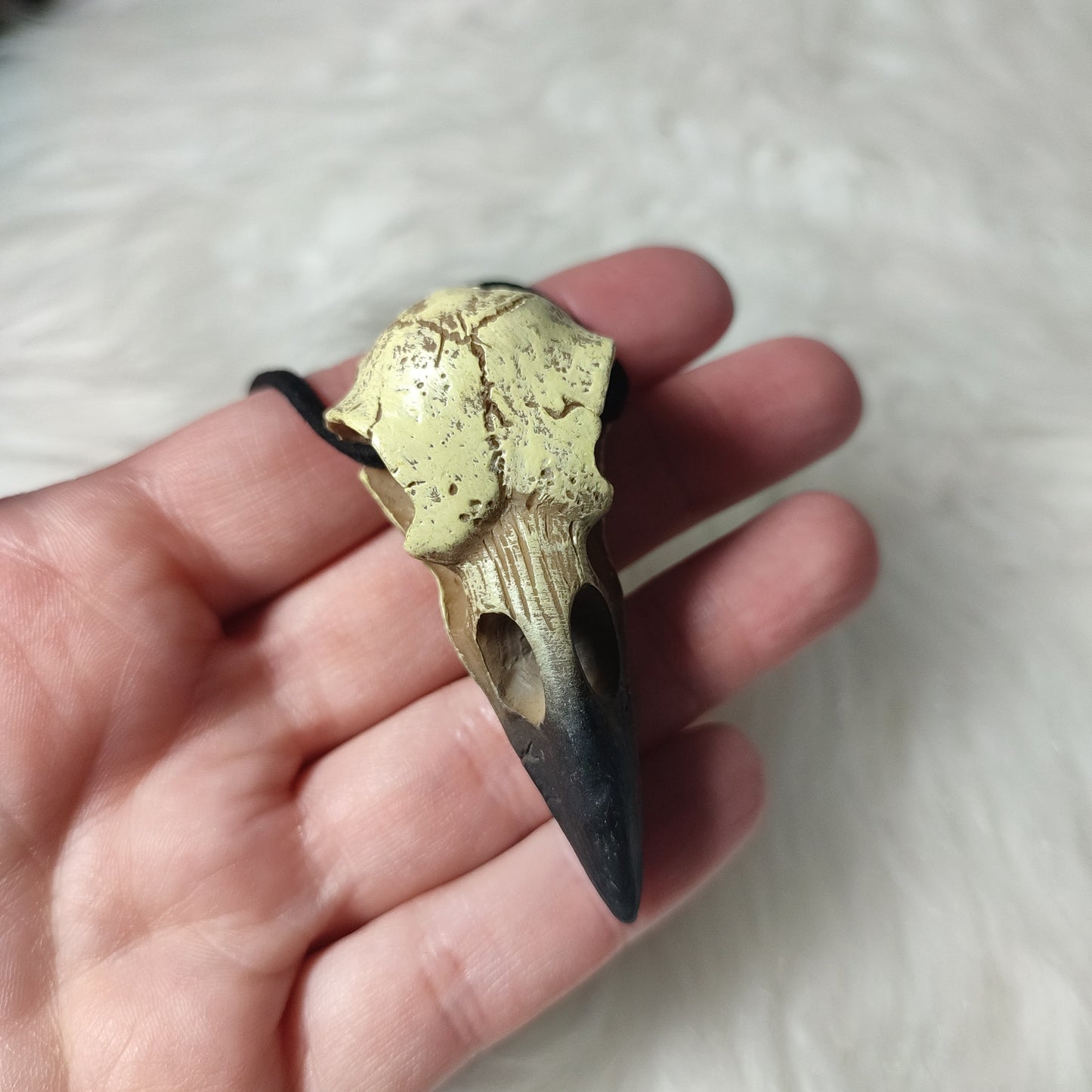 Alchemy Gothic ✨ Colgante calavera cuervo