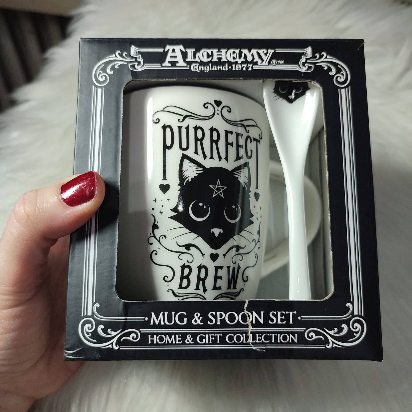 Taza Cafe - Purrrfect Brew 😽😽