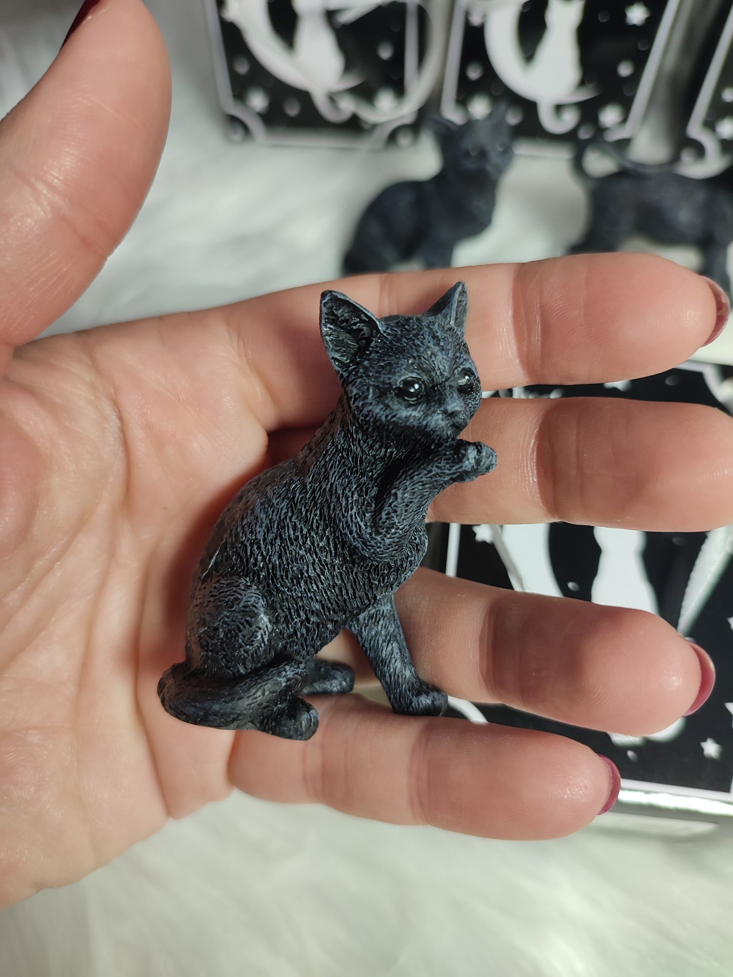 Figura con bolsa Gato Negro de la Suerte 😁✨