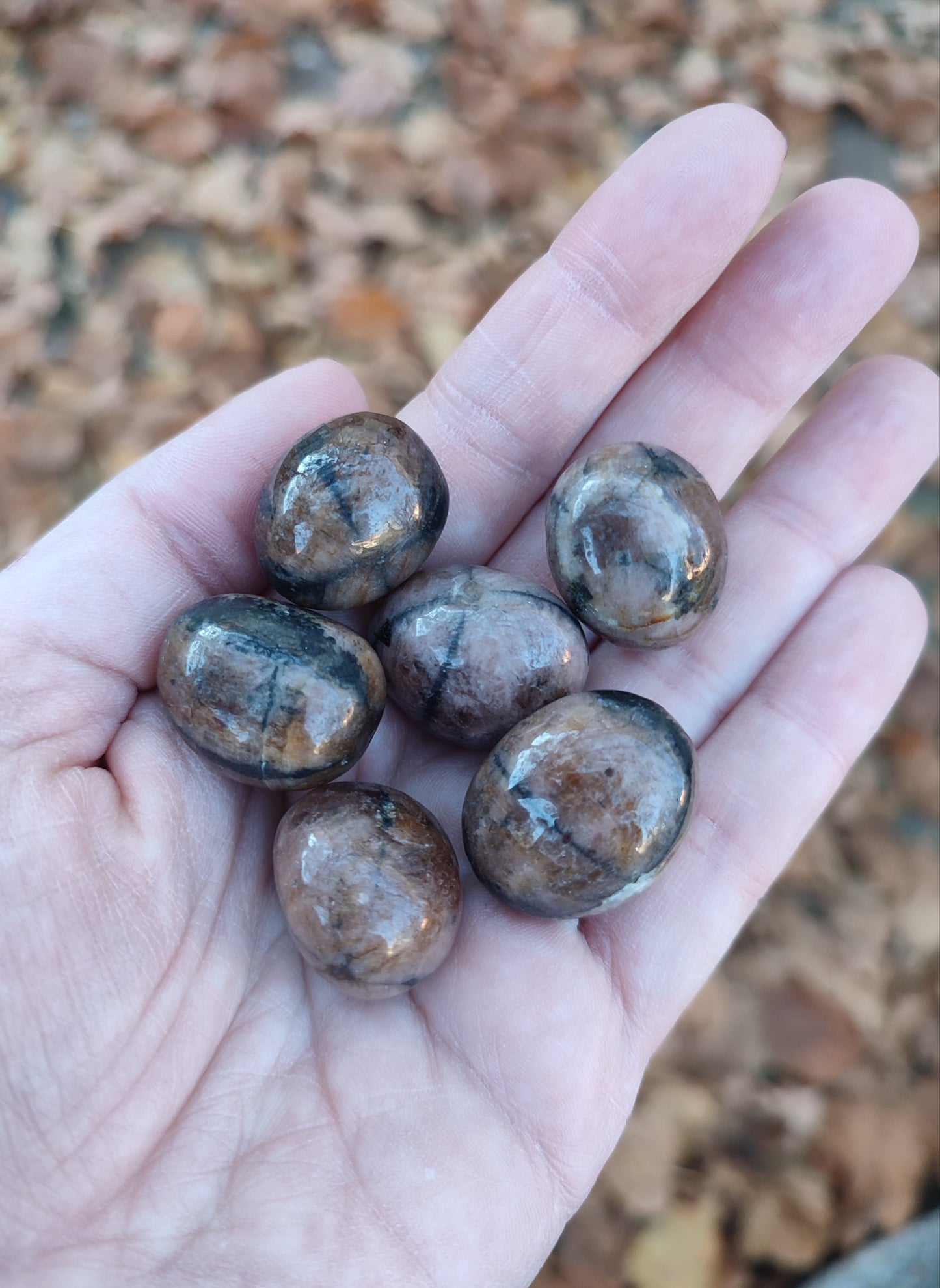 Canto rodado quiastolita