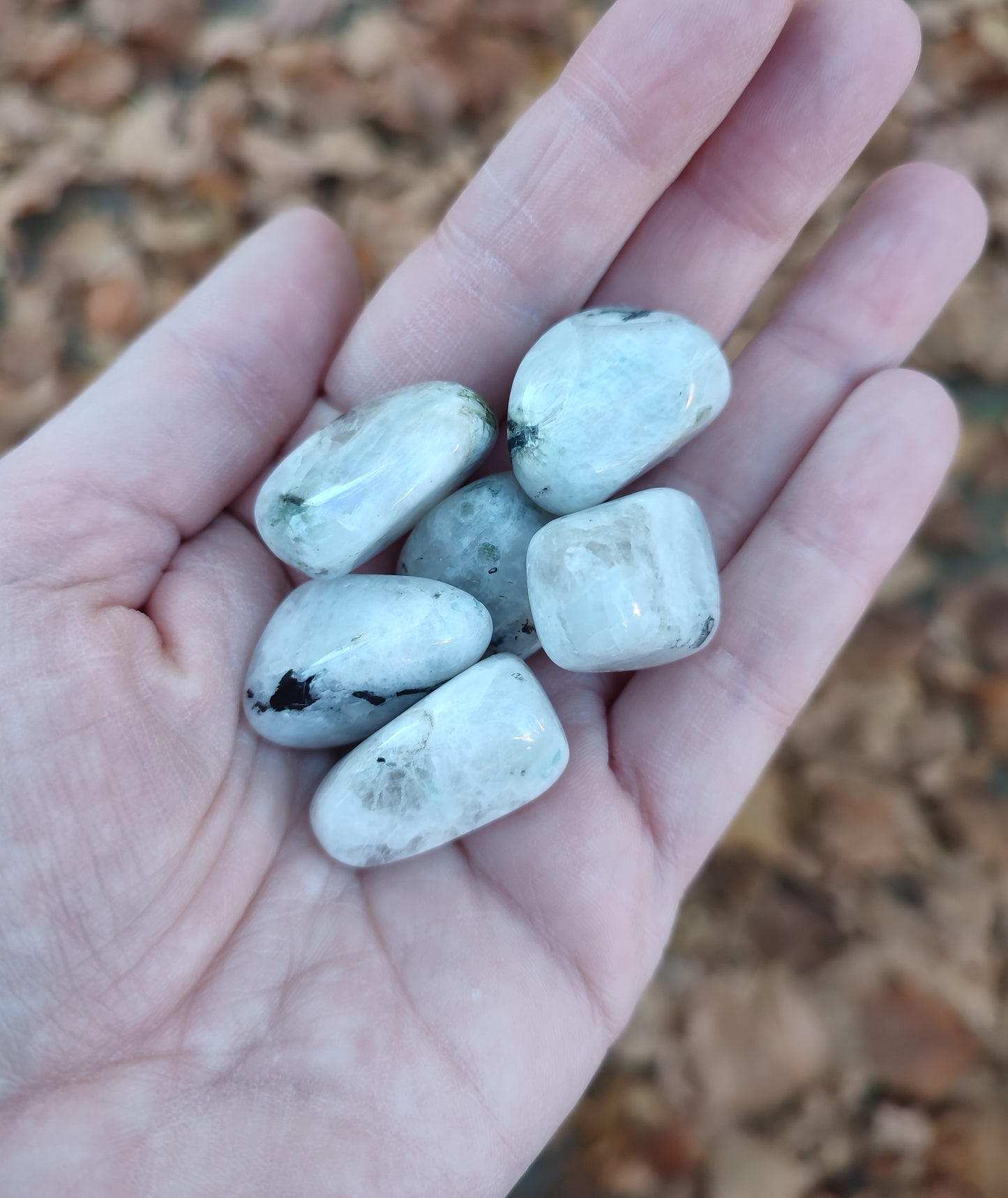 Canto rodado piedra luna mediano