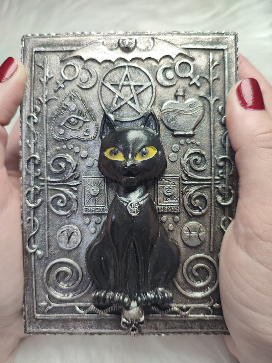 Caja - El gato guardián