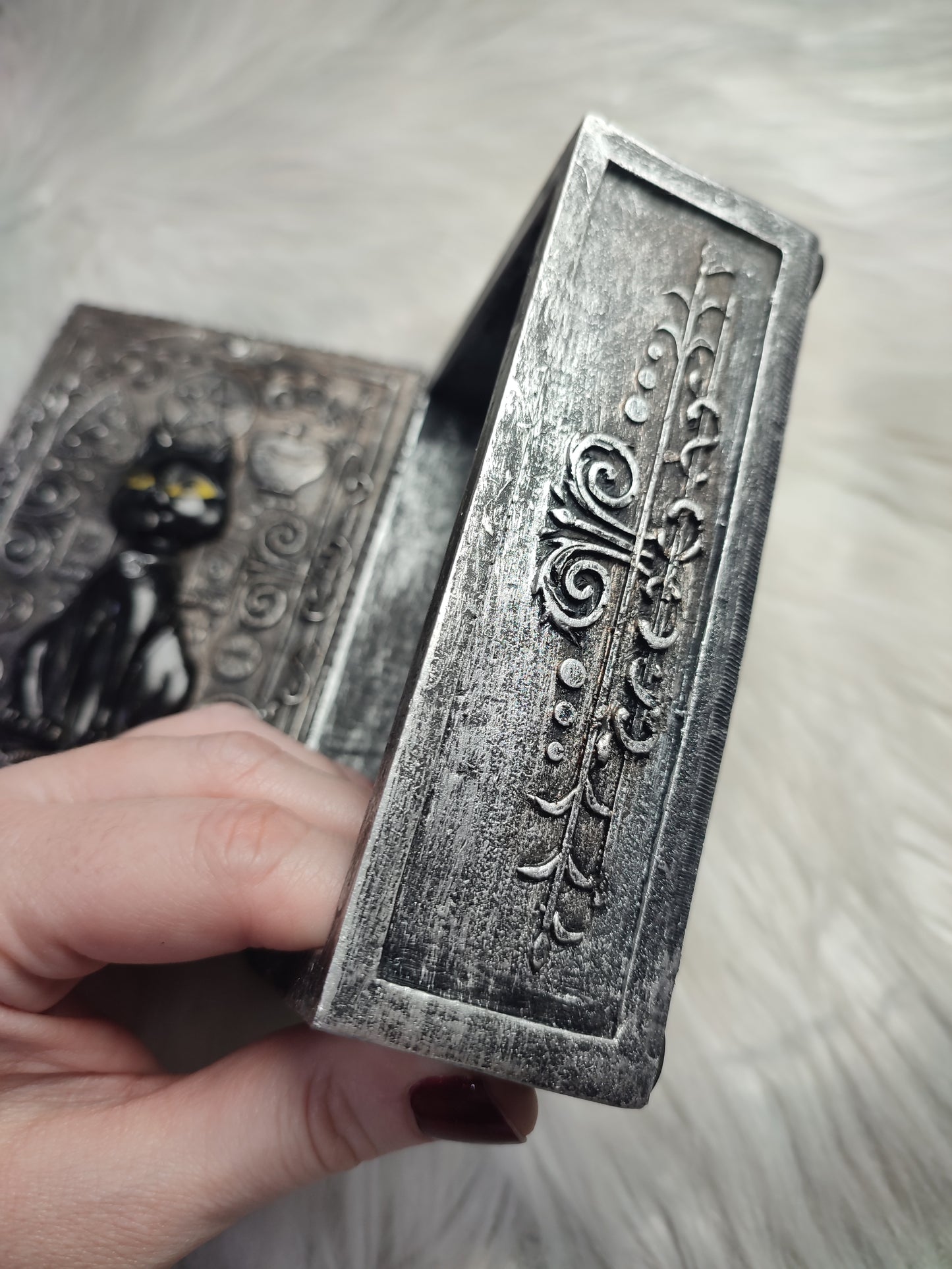 Caja - El gato guardián