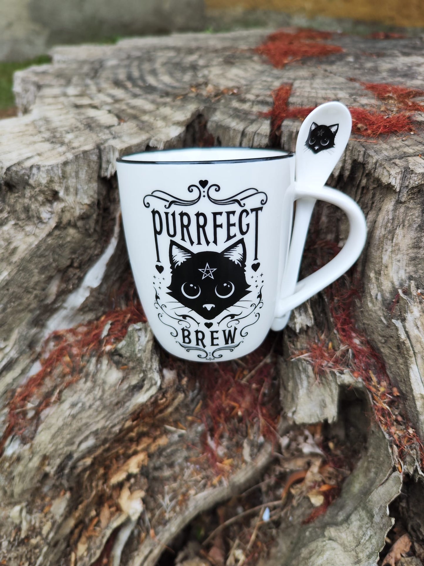 Taza Cafe - Purrrfect Brew 😽😽