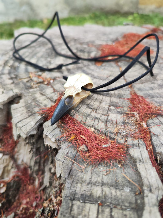 Alchemy Gothic ✨ Colgante calavera cuervo