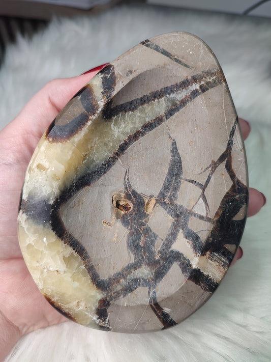 Cuenco septaria 751 gramos