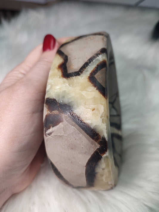 Cuenco septaria 751 gramos