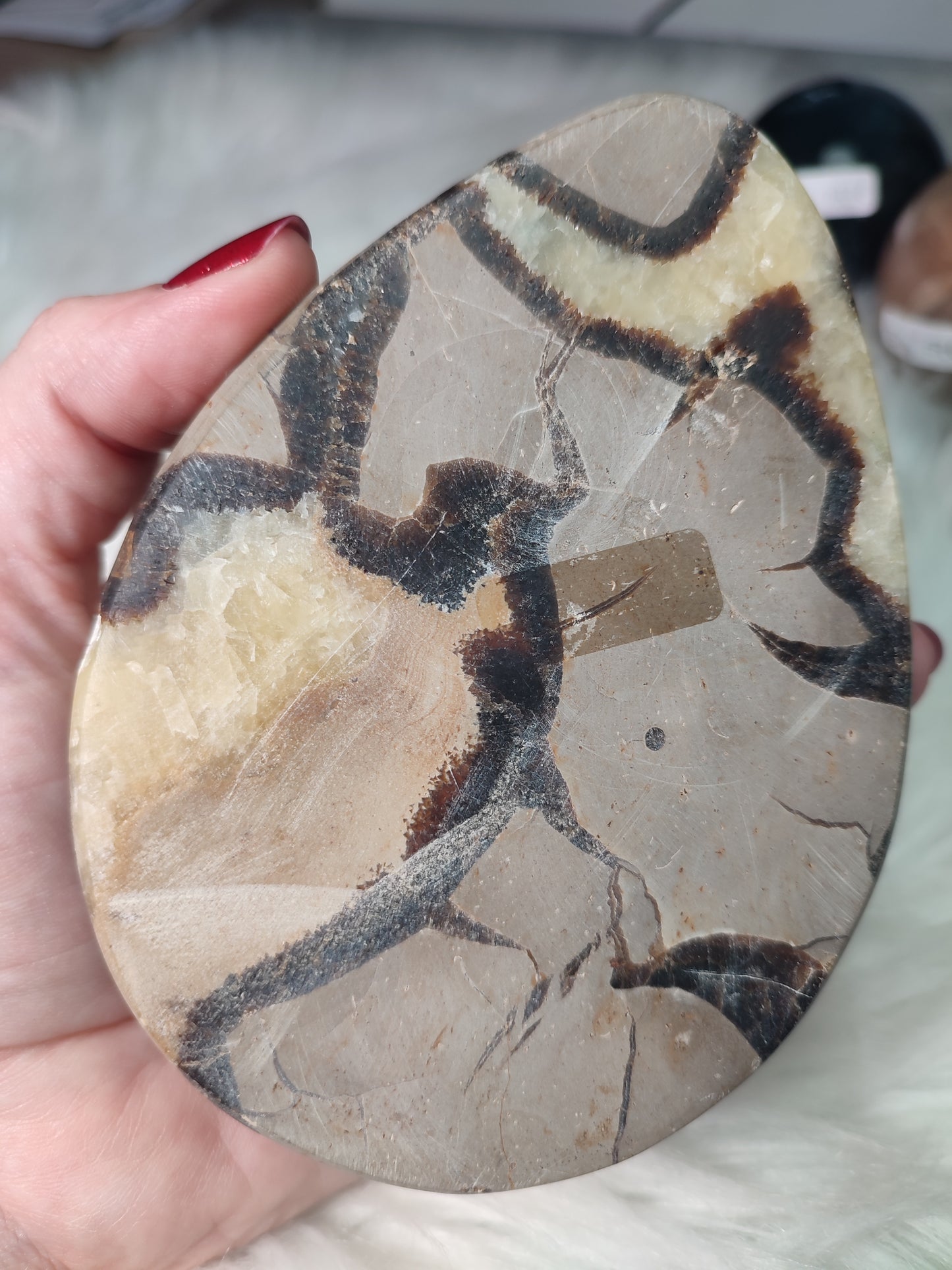 Cuenco septaria 751 gramos