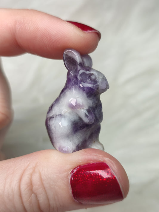 Conejo - varios minerales