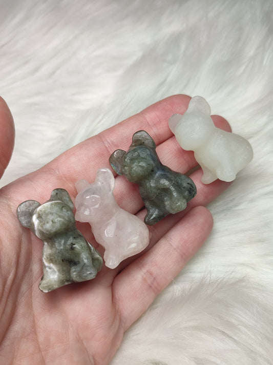 Bulldog francés - varios minerales