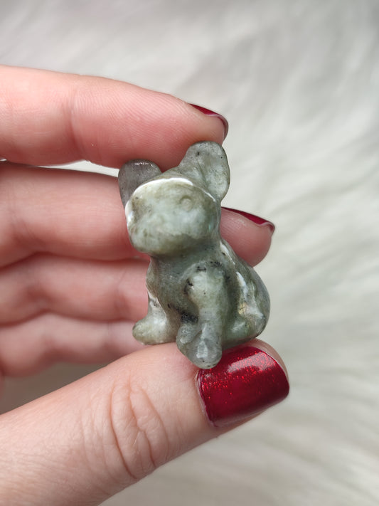 Bulldog francés - varios minerales