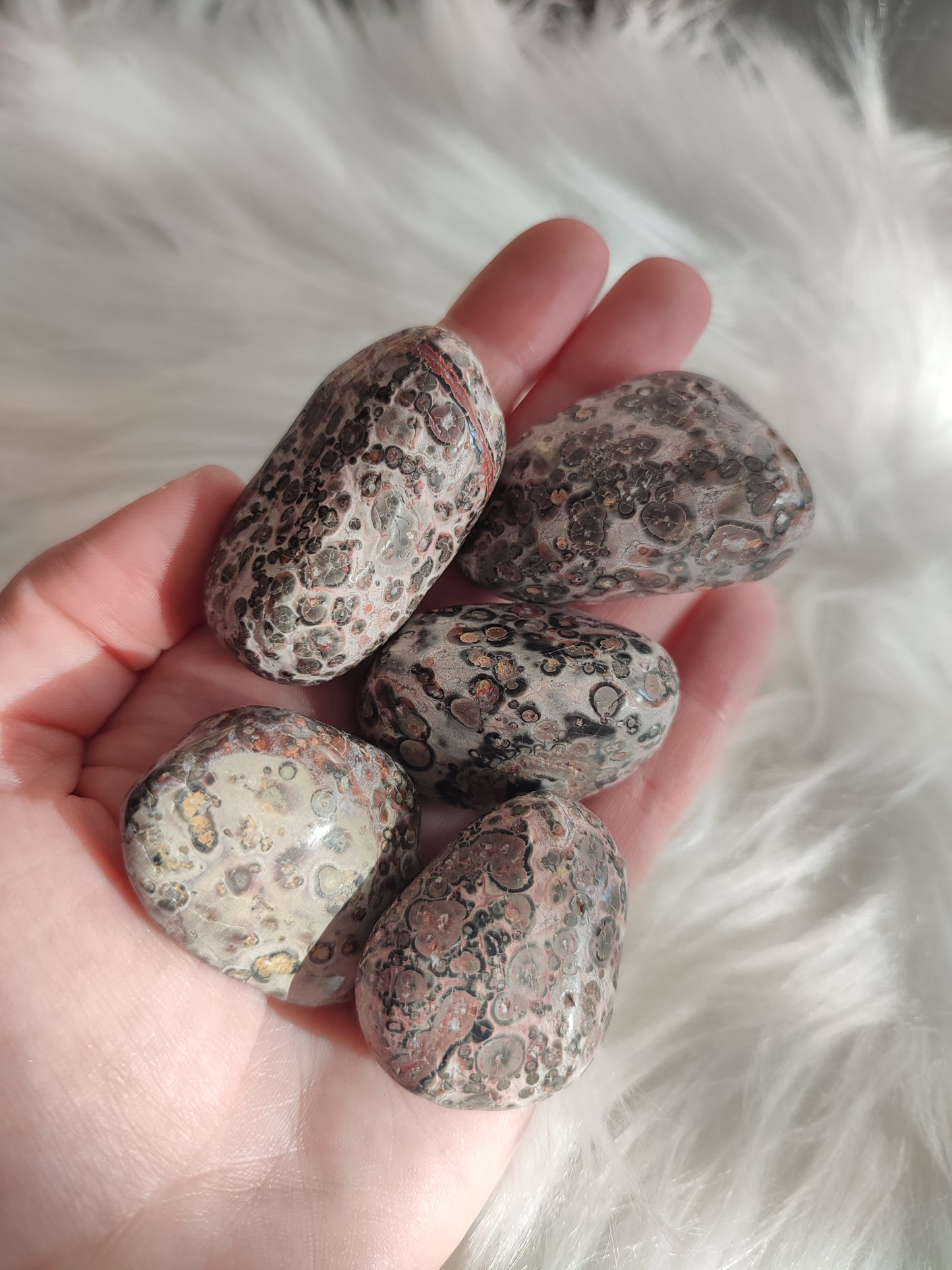 Rodado jaspe leopardo grande