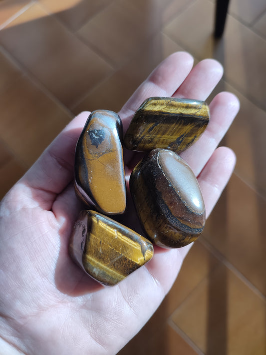 Rodado ojo de tigre grande