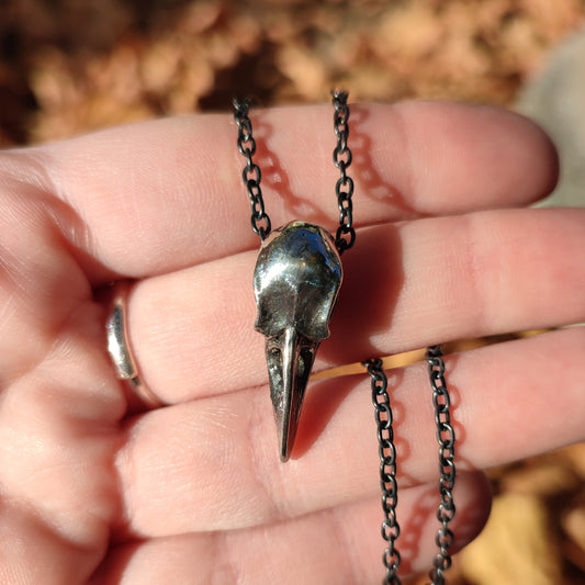 Alchemy Gothic ✨ Colgante calavera cuervo