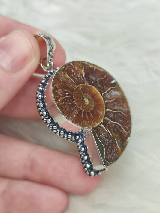 Colgante baño de plata con fósil amonite fosil - Nautilus 164