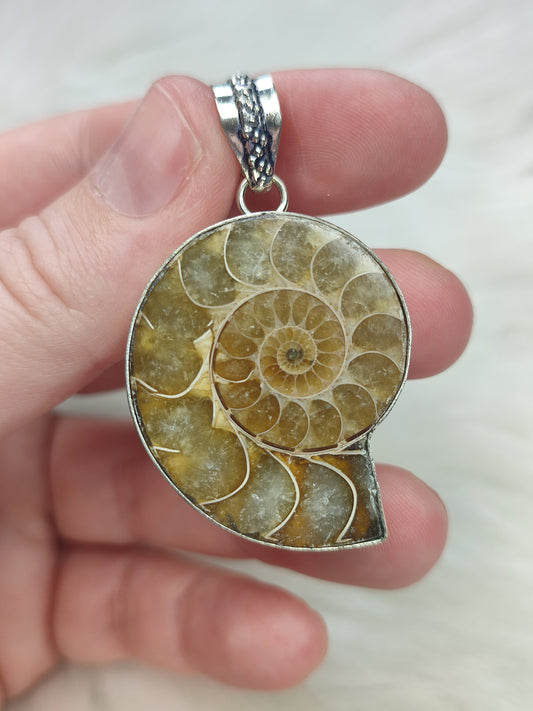 Colgante baño de plata con fósil amonite fosil - Nautilus 178