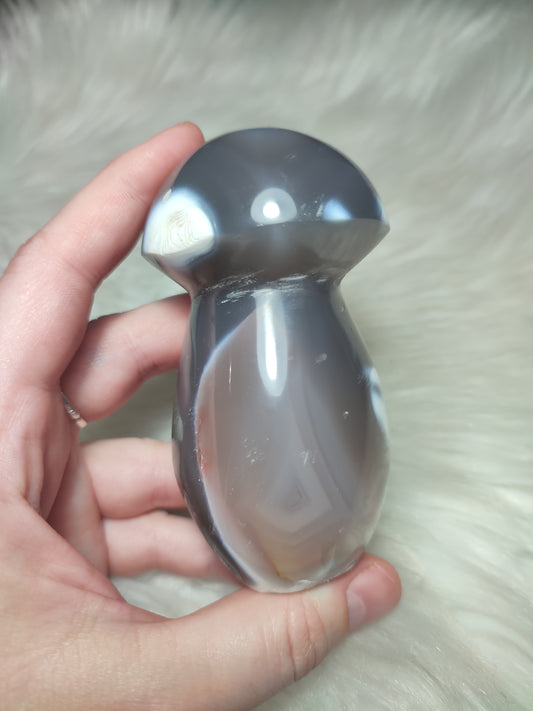 Seta ágata orca n°120