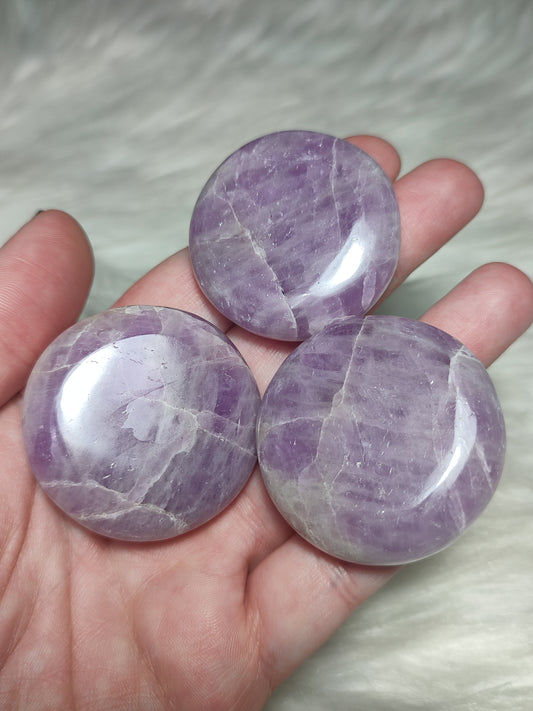 Rodado plano kuncita - Vídeo para escoger