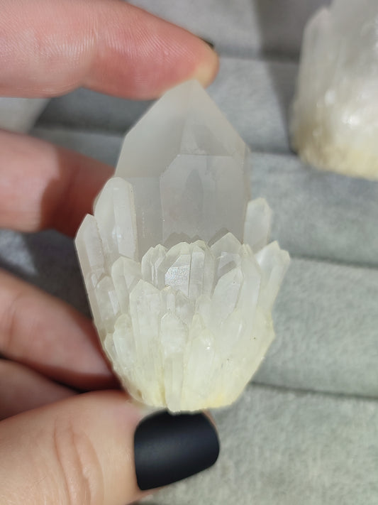 Cuarzo alcachofa - Últimas unidades