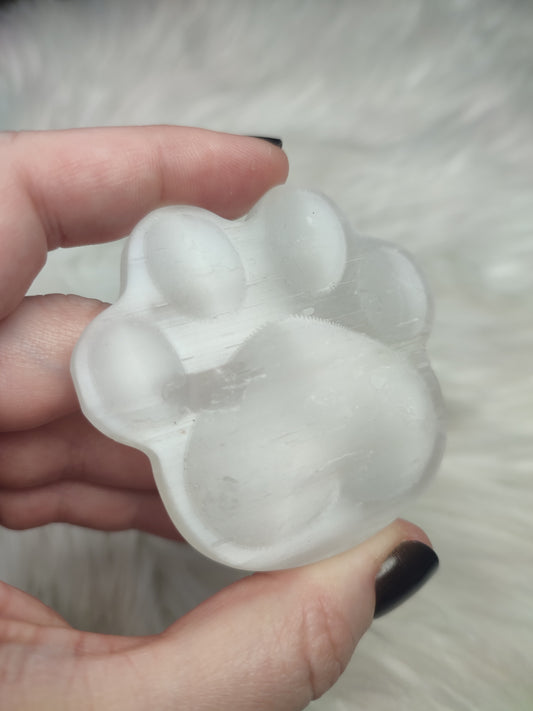 Huella o patita de perro o gato en selenita