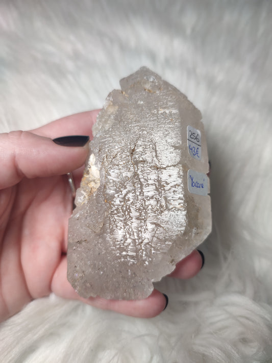 Cuarzo esqueleto y Yacaré n° 256