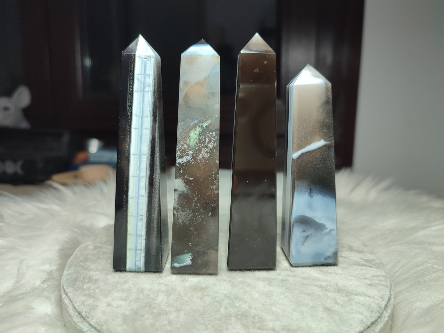 Punta ópalo owyhee - videos