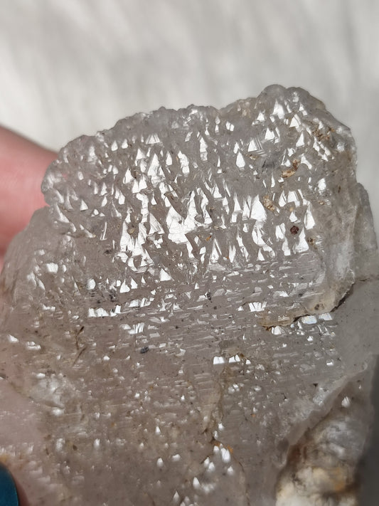 Cuarzo esqueleto y Yacaré n° 256