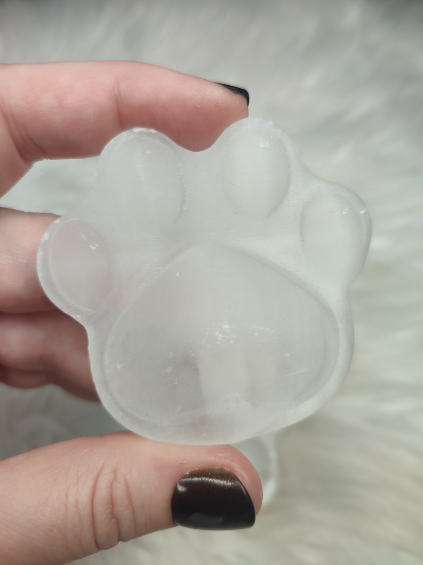 Huella o patita de perro o gato en selenita