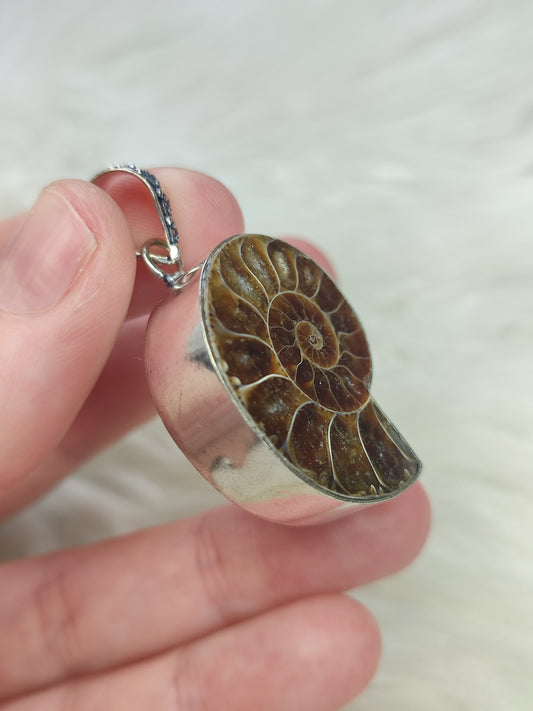 Colgante baño de plata con fósil amonite fosil - Nautilus 179