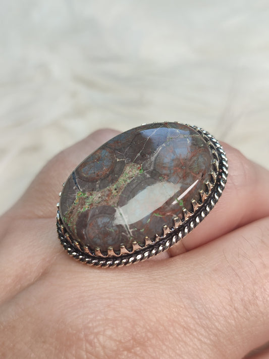 Anillo baño de plata con jaspe ojo de pájaro