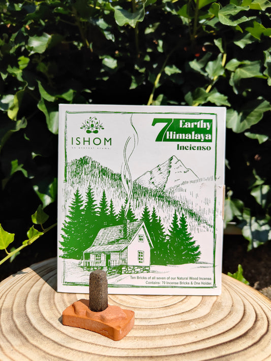 Lote de 70 Inciensos en Ladrillos - 7 Aromas Naturales + Soporte