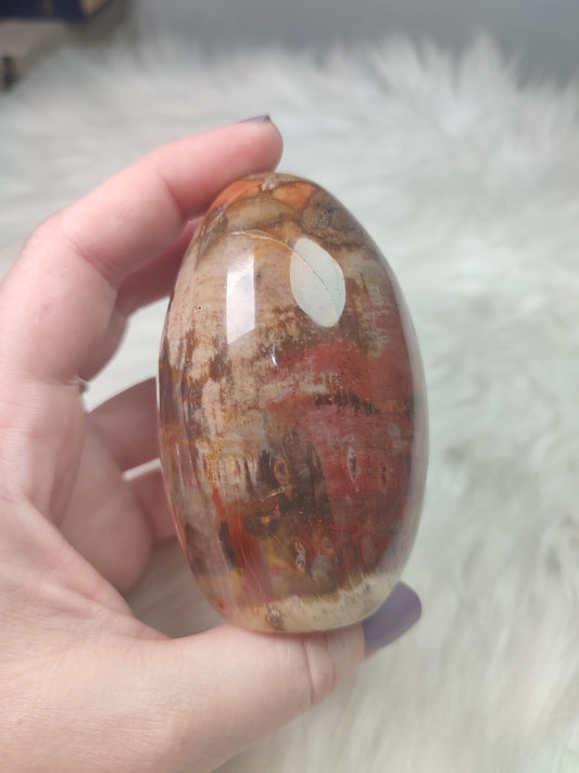 Monolito xilopalo fosilizada n° 9