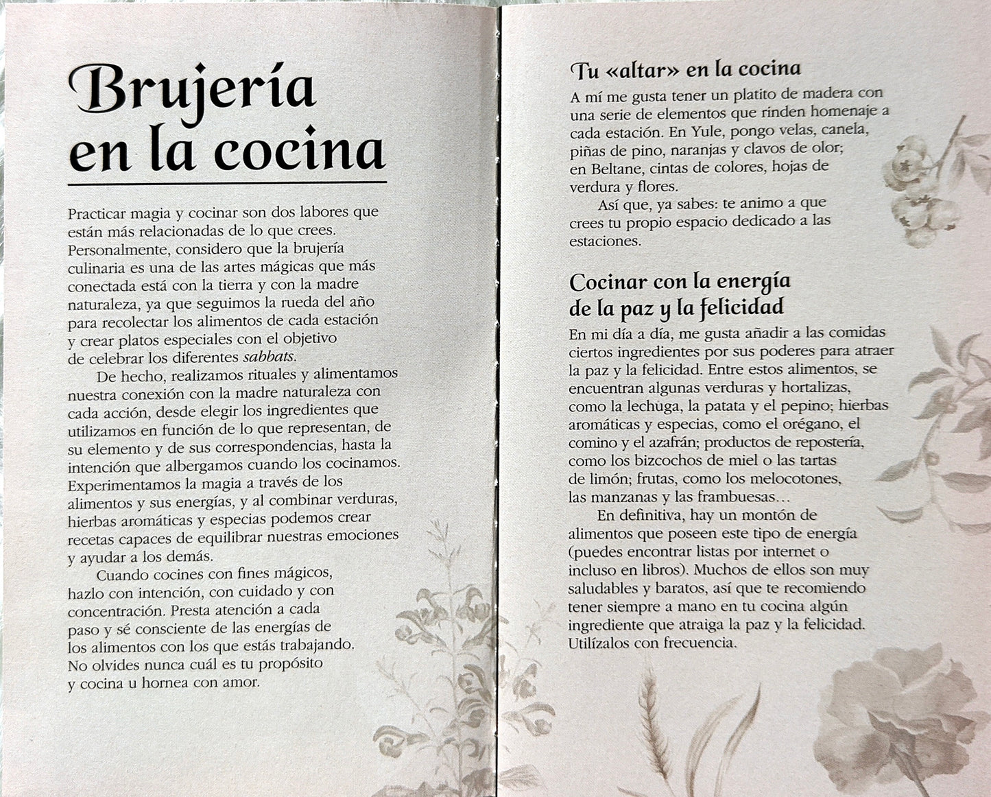 Cocina Mágica Baraja De Recetas Para Brujas