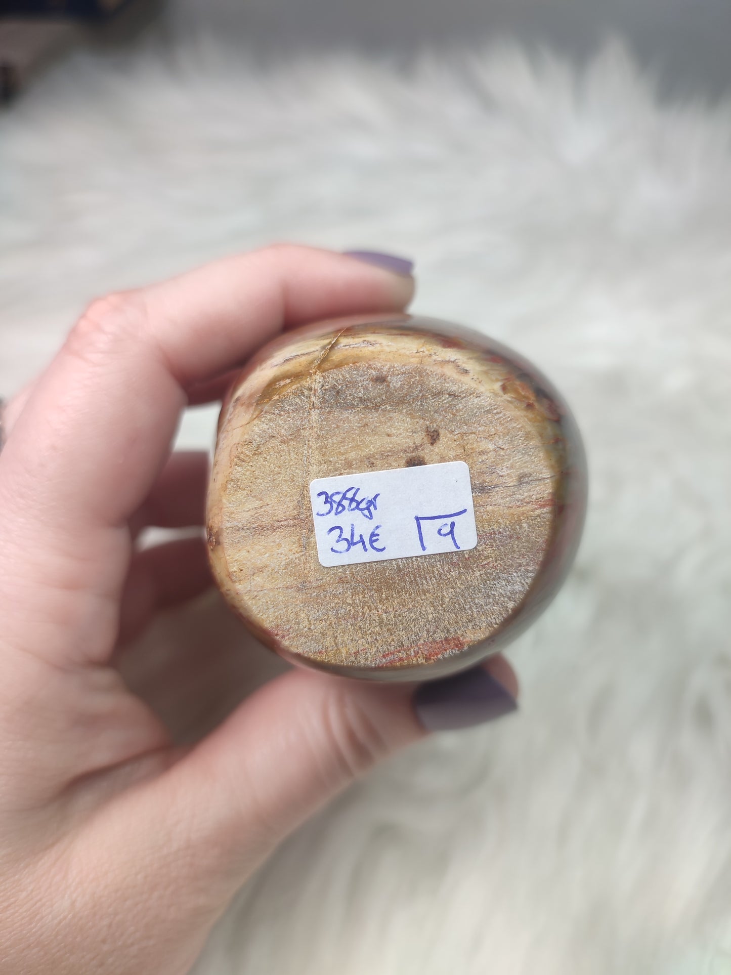 Monolito xilopalo fosilizada n° 9