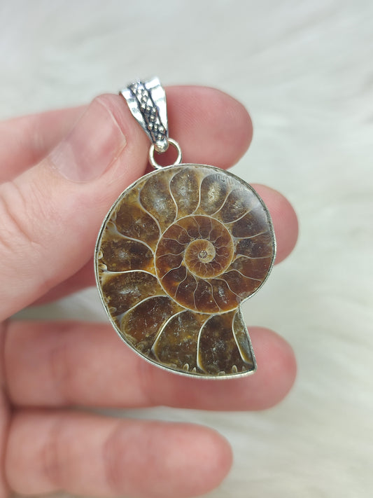 Colgante baño de plata con fósil amonite fosil - Nautilus 179