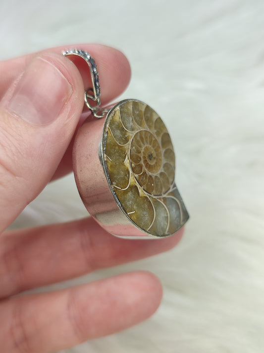 Colgante baño de plata con fósil amonite fosil - Nautilus 178