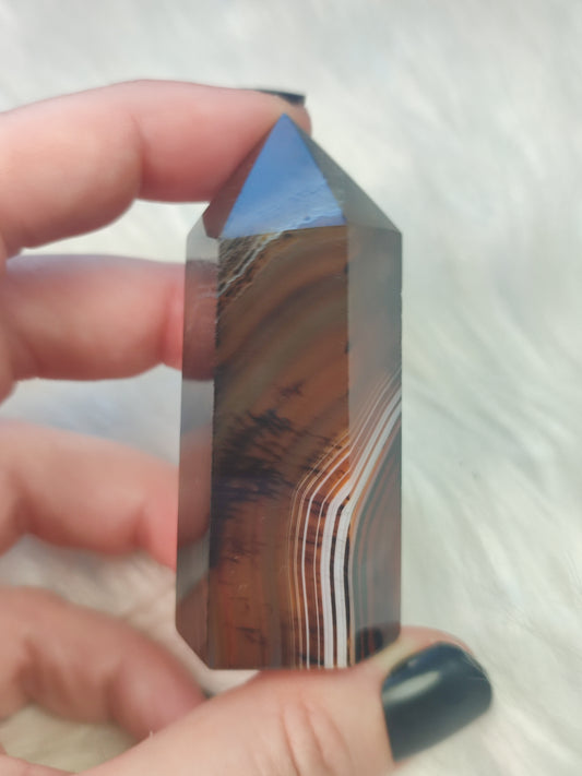 Punta sardonice o sardonix - N° 67