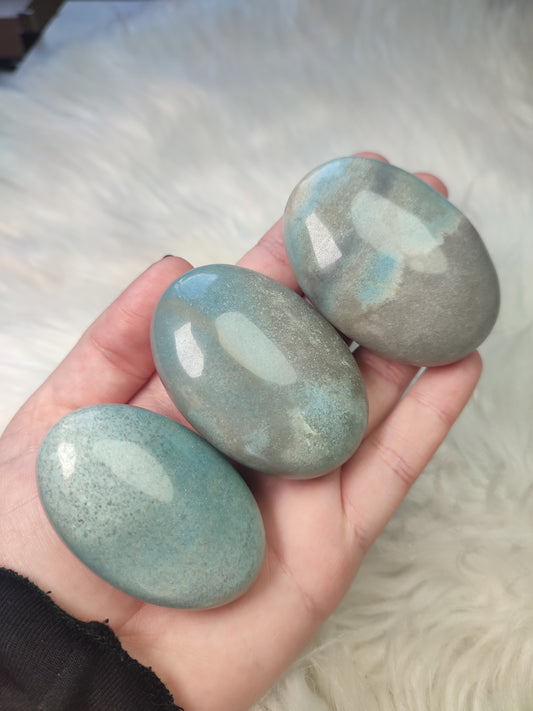 Rodado trolleita - VIDEO