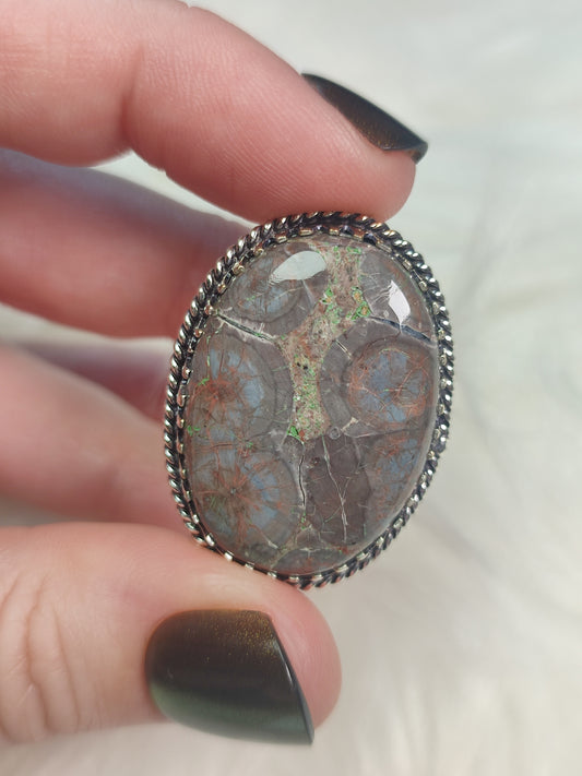 Anillo baño de plata con jaspe ojo de pájaro