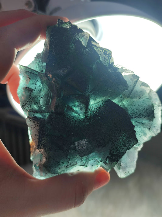 Flúorita cúbica con galena 490 gramos - ver video