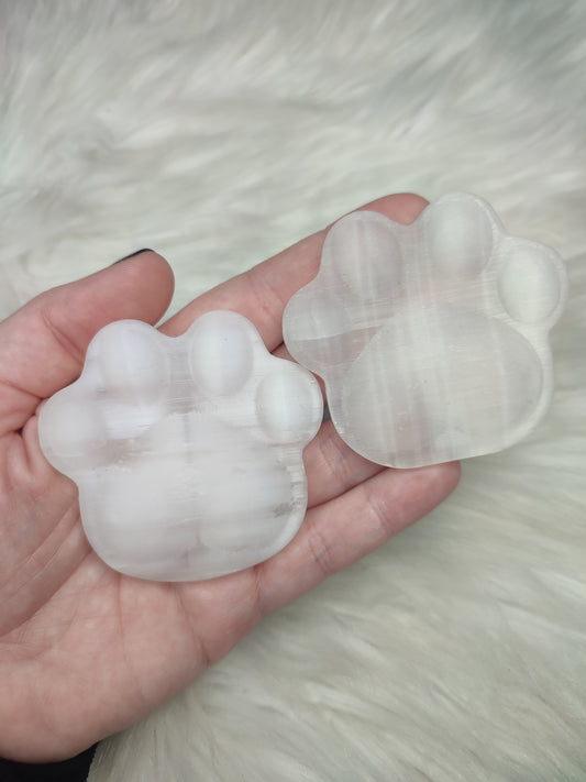 Huella o patita de perro o gato en selenita