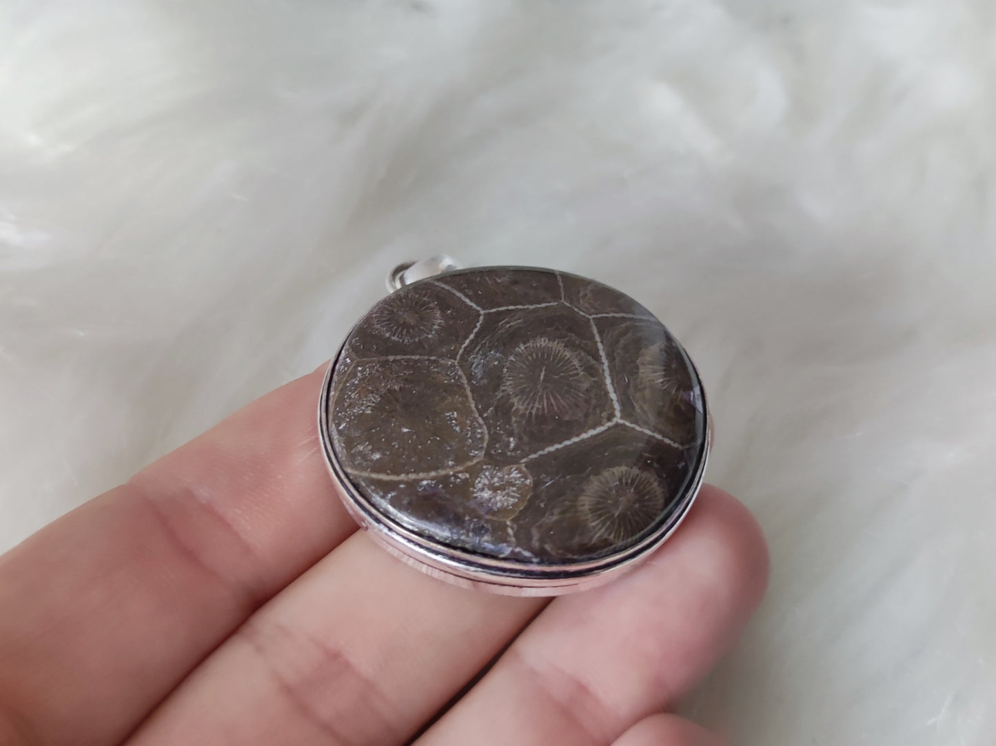 Colgante baño de plata con crisantemo fosil