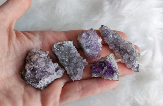 Drusas de amatista - Varios tamaños