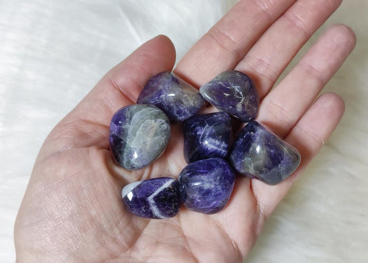 Rodado amatista y pasiotrino