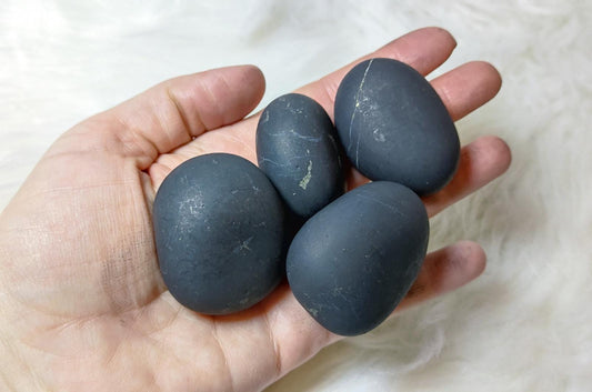 Rodado shungit natural