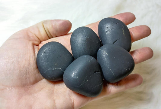 Rodado shungit natural